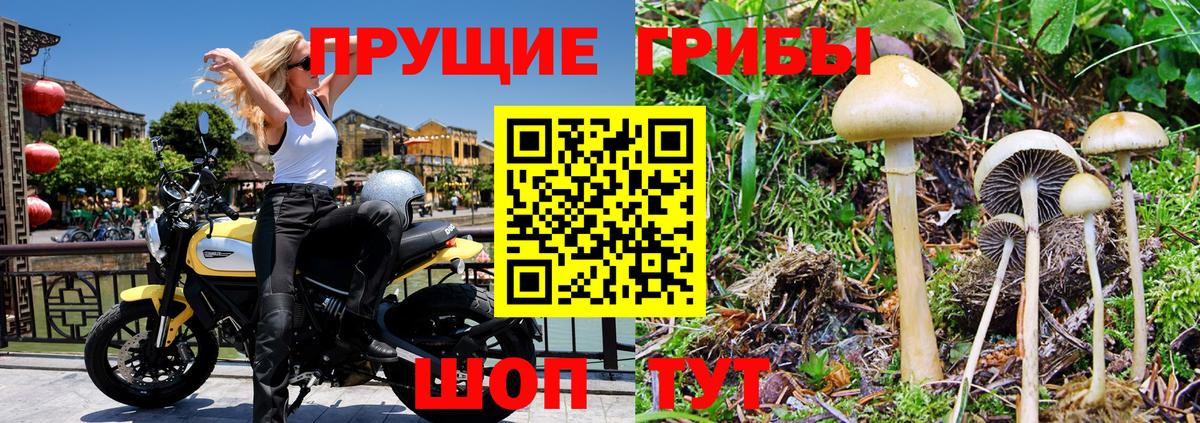 Алушта  Галлюциногенные грибы Cubensis  купить наркотик  Вход с VPN 