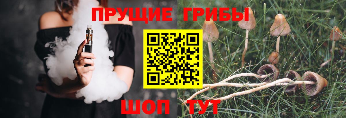 Галлюциногенные грибы мицелий Алушта